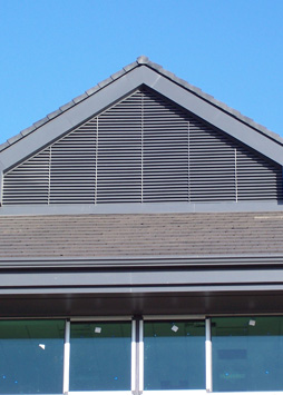 dormer louvre